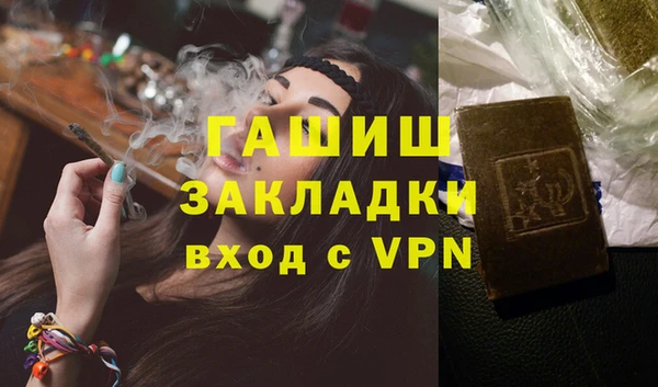 шишки Гусев