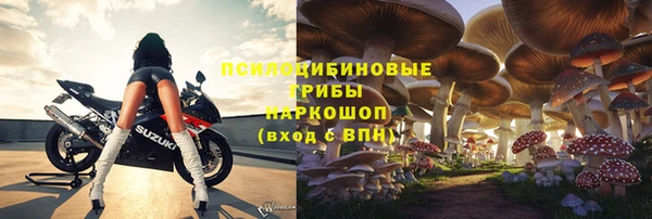 шишки Гусев